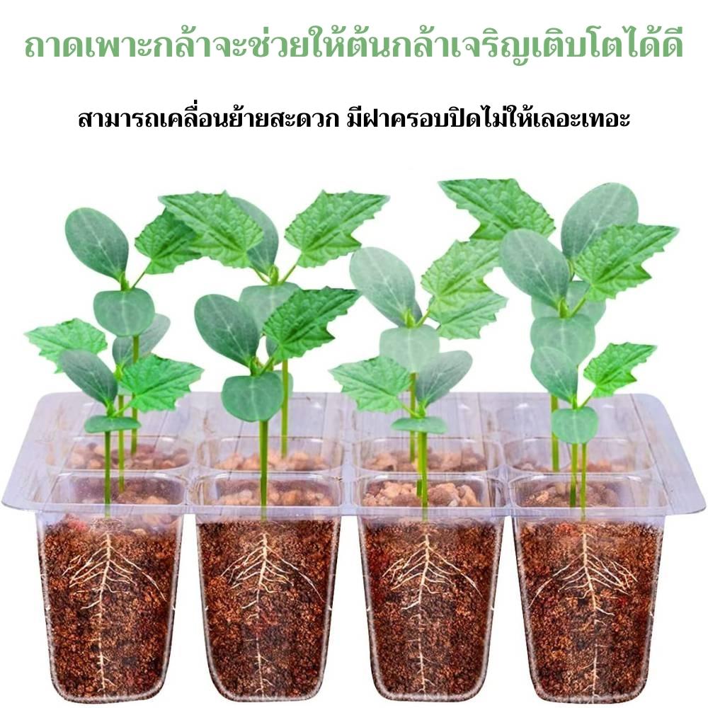 ชุดถาดเพาะกล้า: image 4