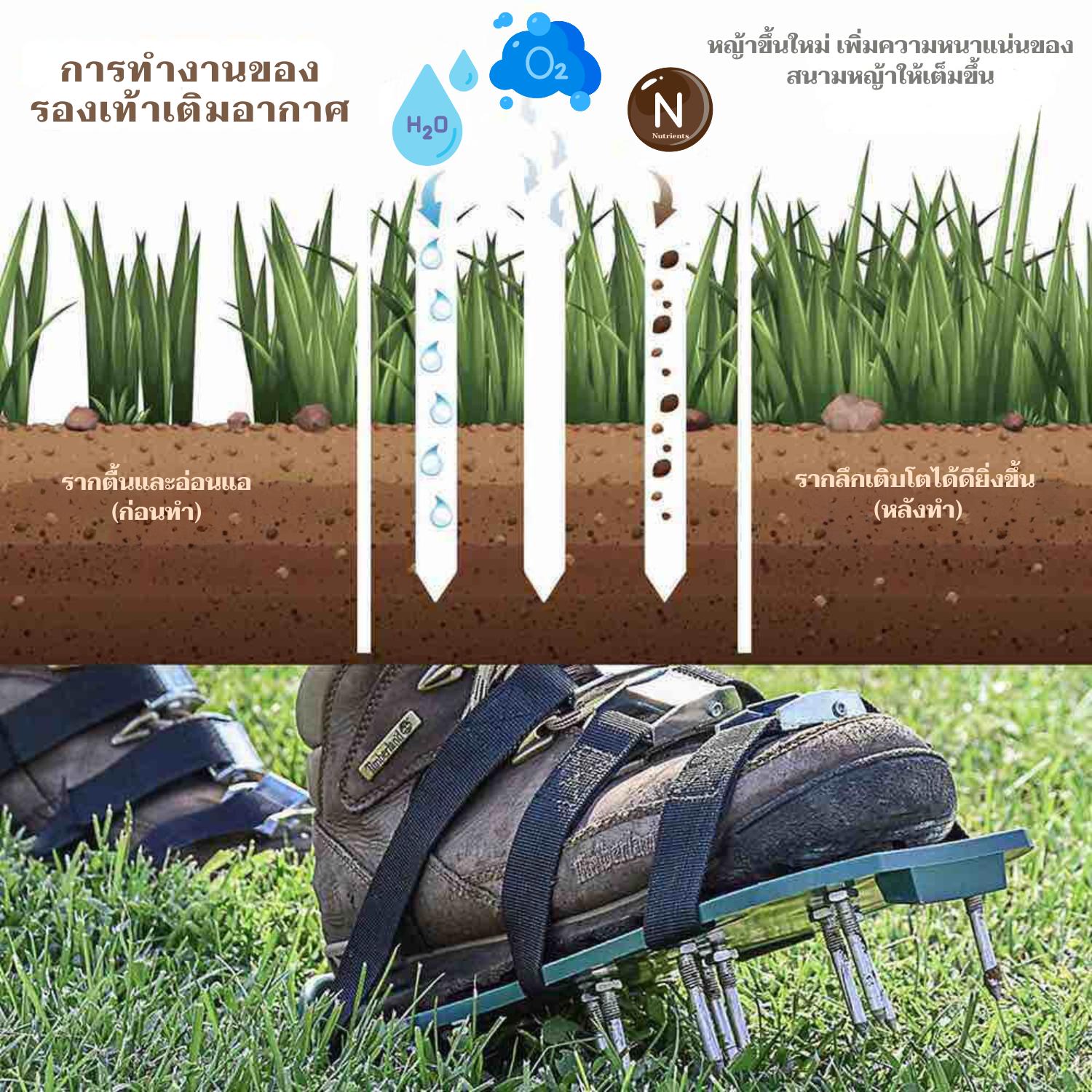 รองเท้าเติมอากาศ: image 7