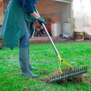 Thatch Rake | Dethatching Rake | Lawn Dethatcher Rake